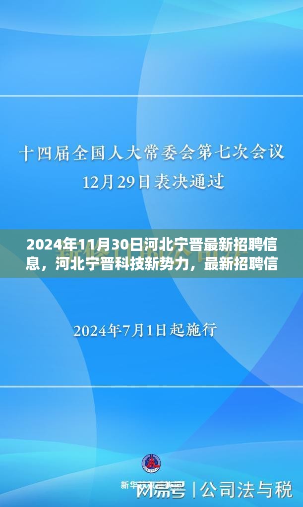 河北宁晋科技新势力，最新招聘信息下的智能未来体验之旅（2024年）