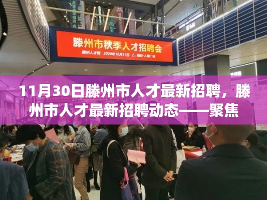 滕州市人才最新招聘动态，聚焦职场机遇与挑战交汇点