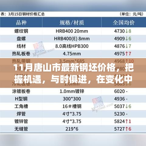 把握机遇，唐山市最新钢坯价格动态与成就感的探寻之路