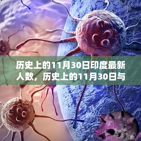 揭秘印度人口变迁，历史上的11月30日深度解析与观点阐述