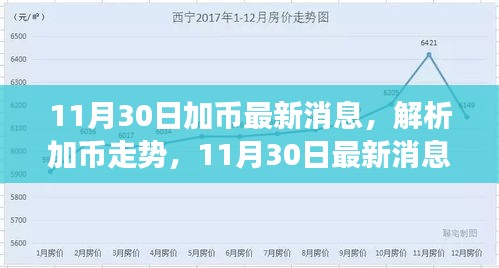 11月30日加币最新动态，走势解析与未来展望