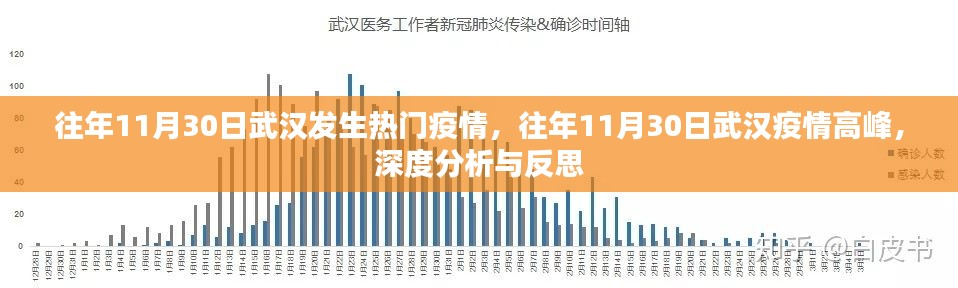 武汉疫情高峰回顾与深度分析与反思，历年11月30日的疫情观察与反思