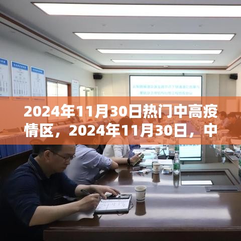 中高疫情区回望与反思，2024年11月30日的视角