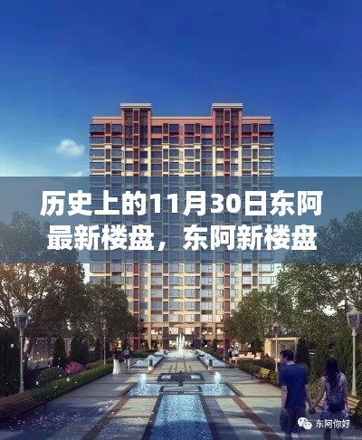 东阿新楼盘历史印记下的辉煌篇章，回顾历史上的11月30日楼盘动态