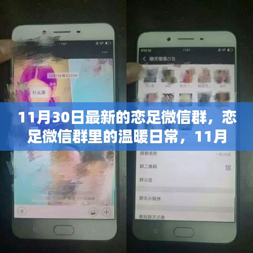 恋足微信群里的欢乐时光，11月30日的温暖日常