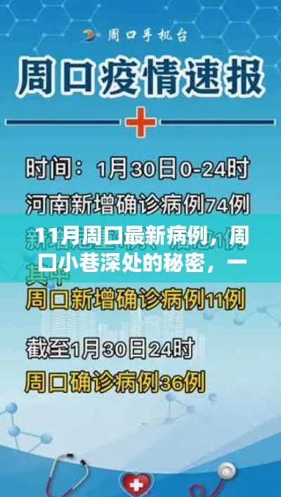 周口特色小店与最新病例的十一月故事揭秘