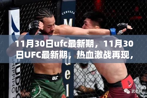 热血激战再现！UFC最新期决战之夜，谁将成为新王者？