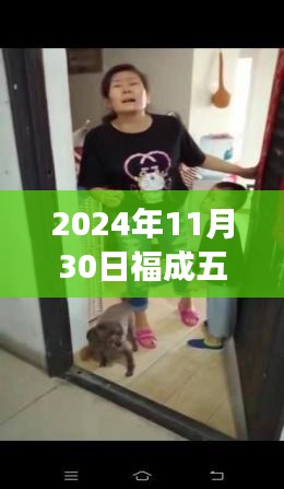 2024年11月30日福成五丰最新，福成五丰最新动态下的深度解析，一场行业变革的启示