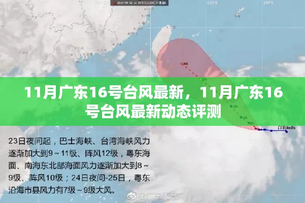 2024年12月2日 第3页