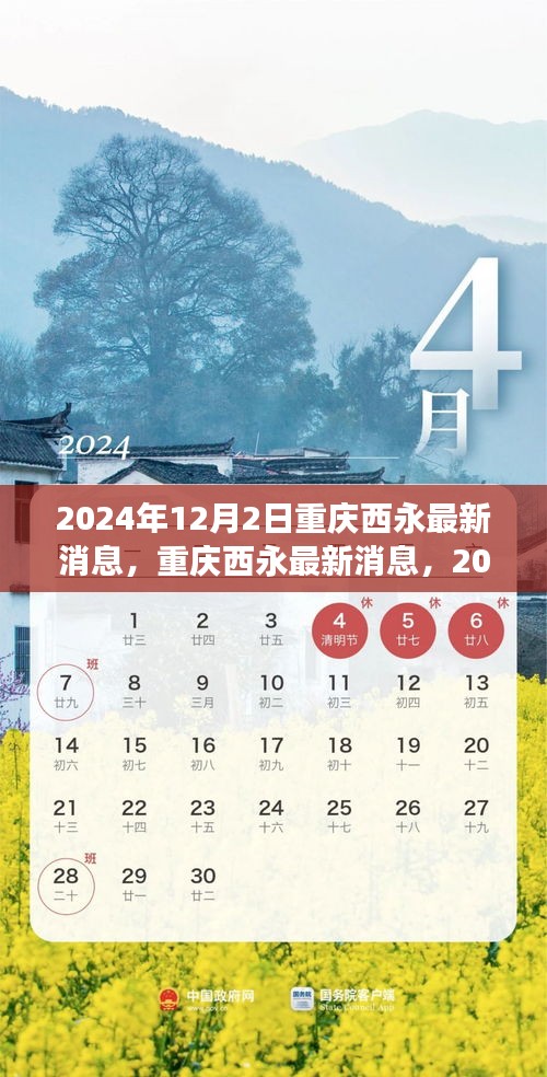 重庆西永发展动态更新，2024年展望与未来展望