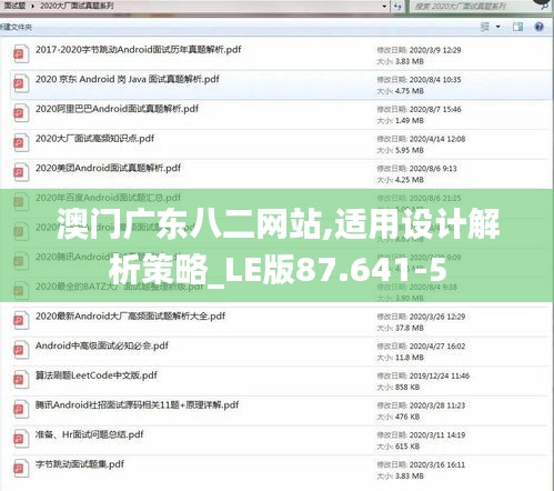 澳门广东八二网站,适用设计解析策略_LE版87.641-5