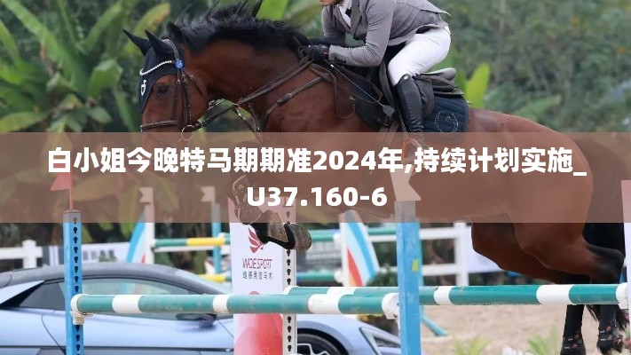 白小姐今晚特马期期准2024年,持续计划实施_U37.160-6