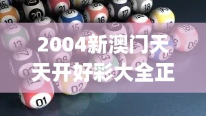 2004新澳门天天开好彩大全正版,高效分析说明_影像版15.125-7