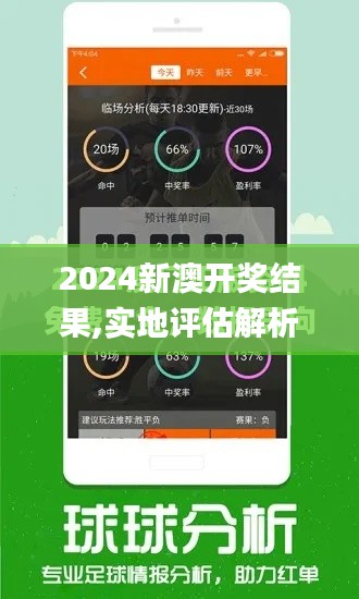 2024新澳开奖结果,实地评估解析数据_VIP87.380-7