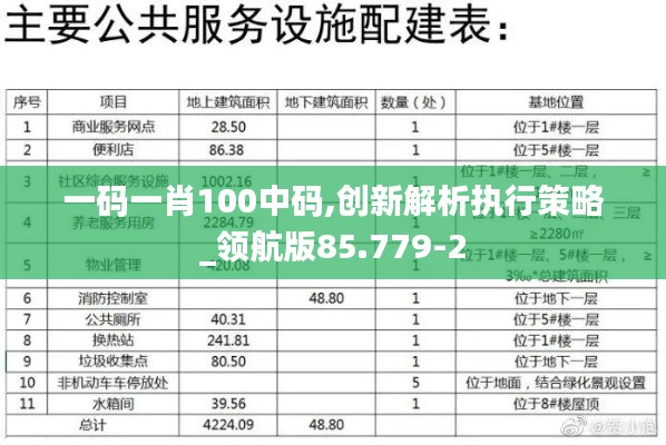 一码一肖100中码,创新解析执行策略_领航版85.779-2