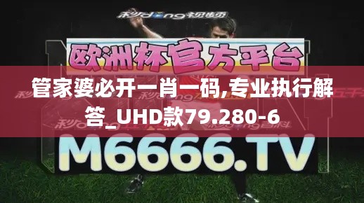 管家婆必开一肖一码,专业执行解答_UHD款79.280-6