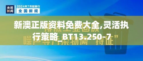 新澳正版资料免费大全,灵活执行策略_BT13.250-7