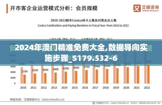 2024年澳门精准免费大全,数据导向实施步骤_S179.532-6