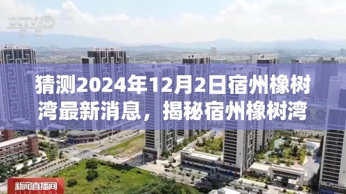 揭秘宿州橡树湾最新动态，2024年预测分析与全面评测（最新消息）