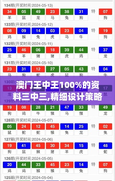 澳门王中王100%的资料三中三,精细设计策略_高级款18.258-5