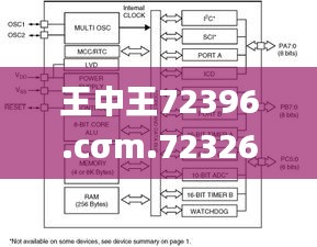 王中王72396.cσm.72326查询精选16码一,衡量解答解释落实_mShop21.165-7