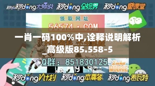 一肖一码100%中,诠释说明解析_高级版85.558-5