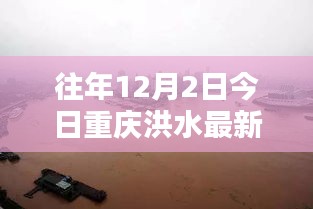 重庆洪水日，友情纽带与温馨日常的见证（往年12月2日洪水最新情况）