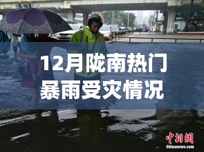 陇南暴雨下的暖心故事，友情、亲情与小趣事受灾情况回顾