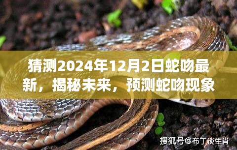 揭秘蛇吻现象未来走向，预测蛇吻现象在2024年12月2日的最新发展动态分析