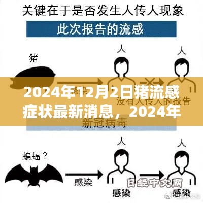 猪流感最新症状解析与防治指南，2024年猪流感症状识别与应对策略