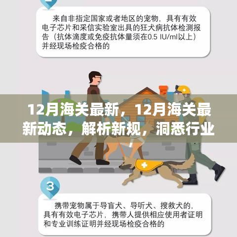 12月海关最新动态解析，新规洞悉与行业变化观察