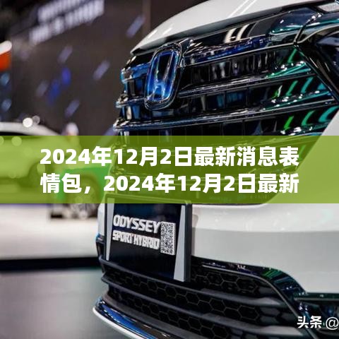 2024年12月2日最新表情包席卷全球，引领即时通讯新风尚