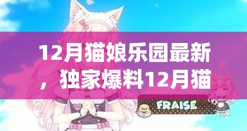 独家爆料，12月猫娘乐园全新篇章，萌趣无限，心动体验！