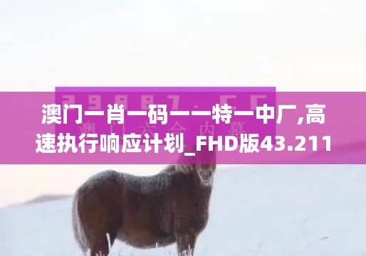 澳门一肖一码一一特一中厂,高速执行响应计划_FHD版43.211-3