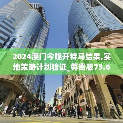 2024澳门今晚开特马结果,实地策略计划验证_尊贵版75.654-6