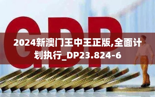 2024新澳门王中王正版,全面计划执行_DP23.824-6