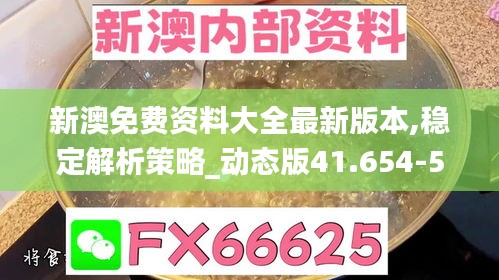 新澳免费资料大全最新版本,稳定解析策略_动态版41.654-5