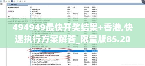 494949最快开奖结果+香港,快速执行方案解答_限量版85.200-2