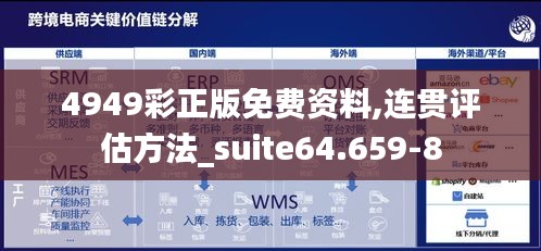 4949彩正版免费资料,连贯评估方法_suite64.659-8