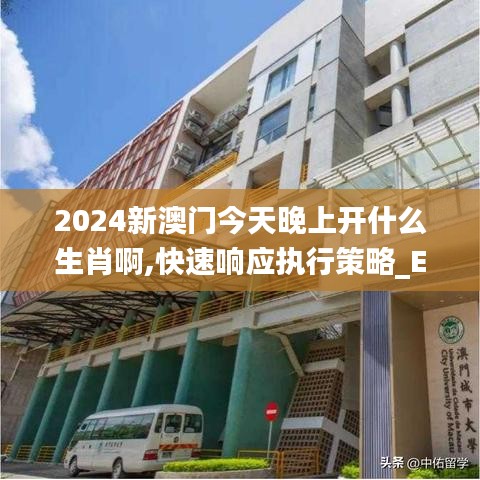 2024新澳门今天晚上开什么生肖啊,快速响应执行策略_Executive83.943-3