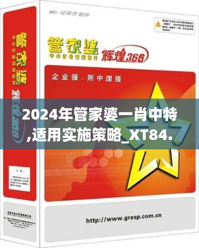 2024年管家婆一肖中特,适用实施策略_XT84.268-5