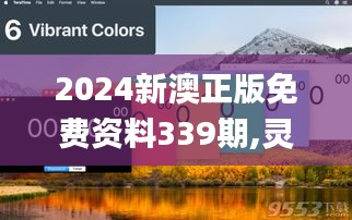 2024新澳正版免费资料339期,灵活解析实施_Ultra74.971-8