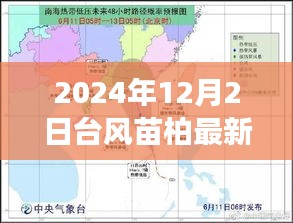 台风苗柏最新动向，智能预警系统引领科技前沿与生活变革