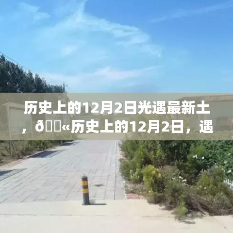 历史上的12月2日科技之光，探索最新高科技产品光遇最新土之旅