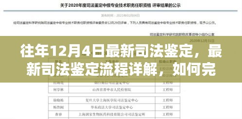 往年12月4日最新司法鉴定详解及流程指南，如何高效完成司法鉴定任务？