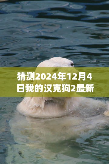 汉克狗2最新版体验之旅，玩转游戏巅峰境界的预测与畅想（2024年12月4日）