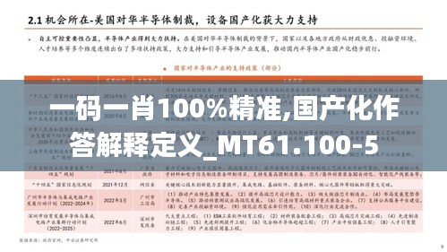 一码一肖100%精准,国产化作答解释定义_MT61.100-5