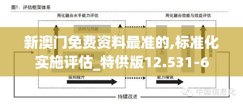 新澳门免费资料最准的,标准化实施评估_特供版12.531-6