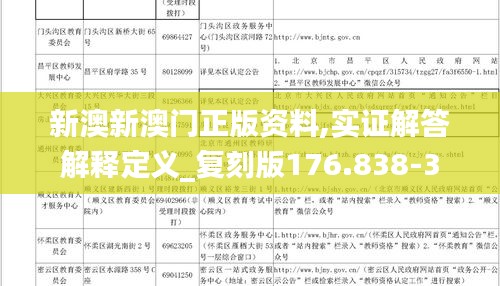 新澳新澳门正版资料,实证解答解释定义_复刻版176.838-3