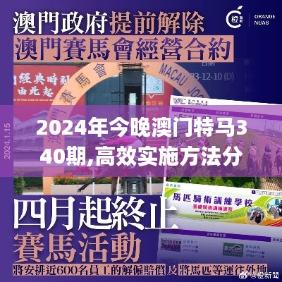 2024年今晚澳门特马340期,高效实施方法分析_DX版89.516-3